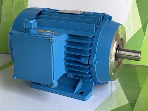 Ceg mt112m2 epst motore - ceg,