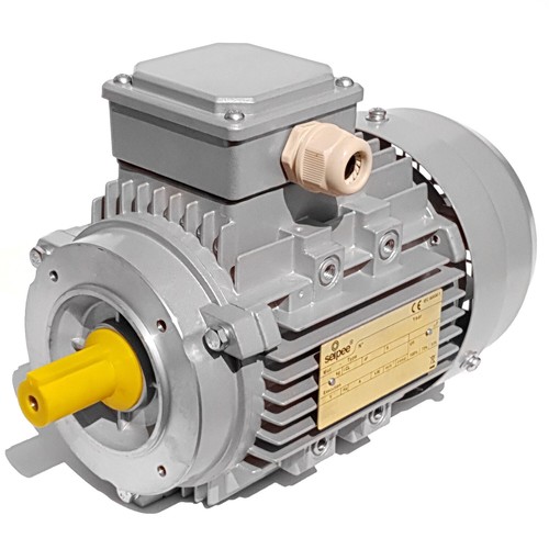 Motore elettrico trifase 5 - motore,